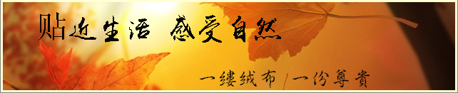 一縷絨布，一份尊貴